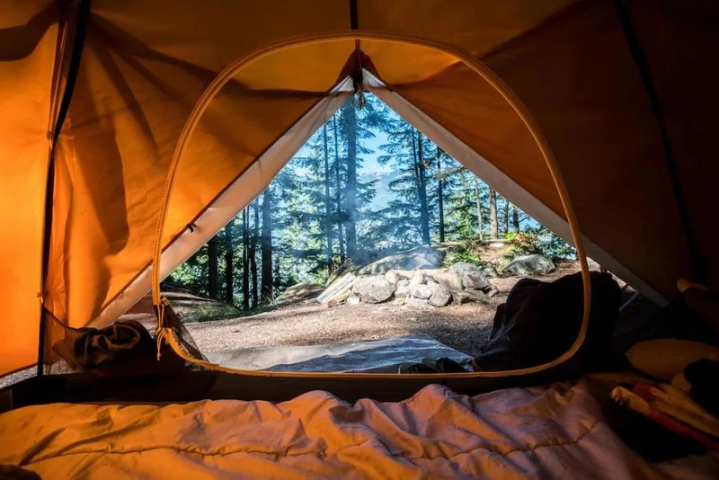 View of forest landscape through camping tent opening, perfect for outdoor adventure prize package