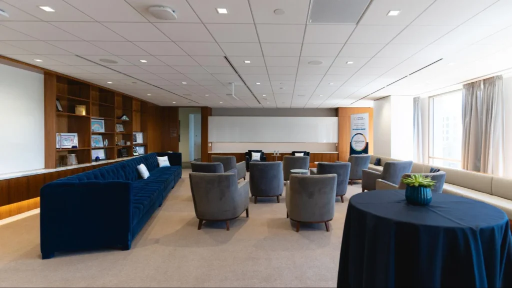 VIP Experience Zones