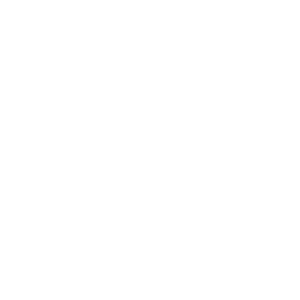 Pilot-Pen-White-Transparent-2048
